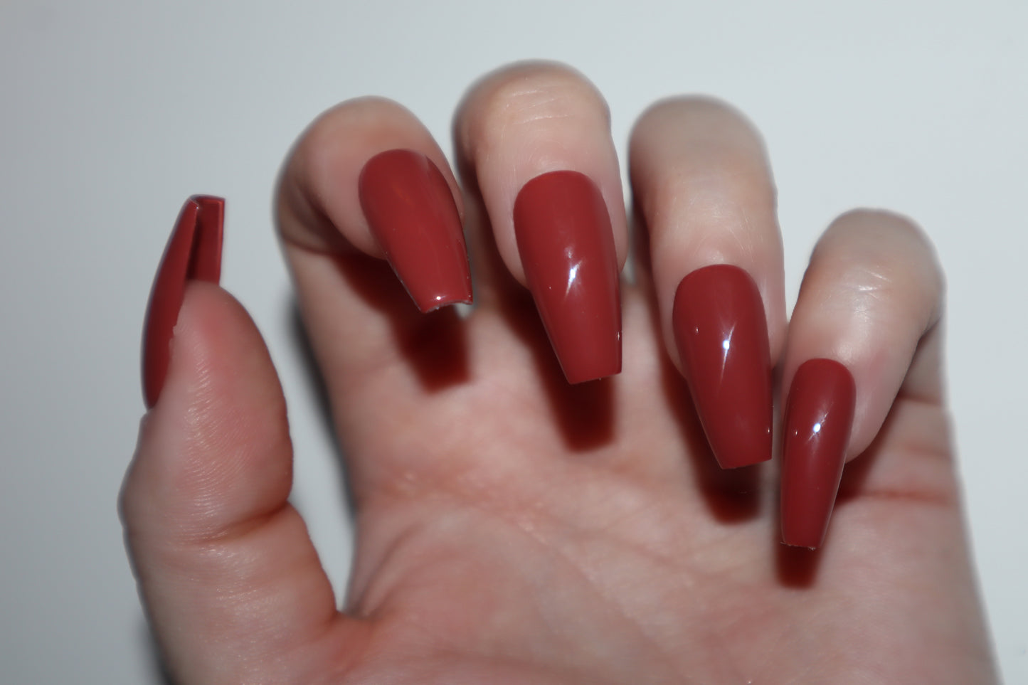 Colors of Autumn (Solid Color Set)