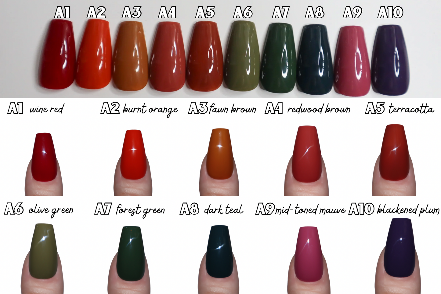 Colors of Autumn (Solid Color Set)