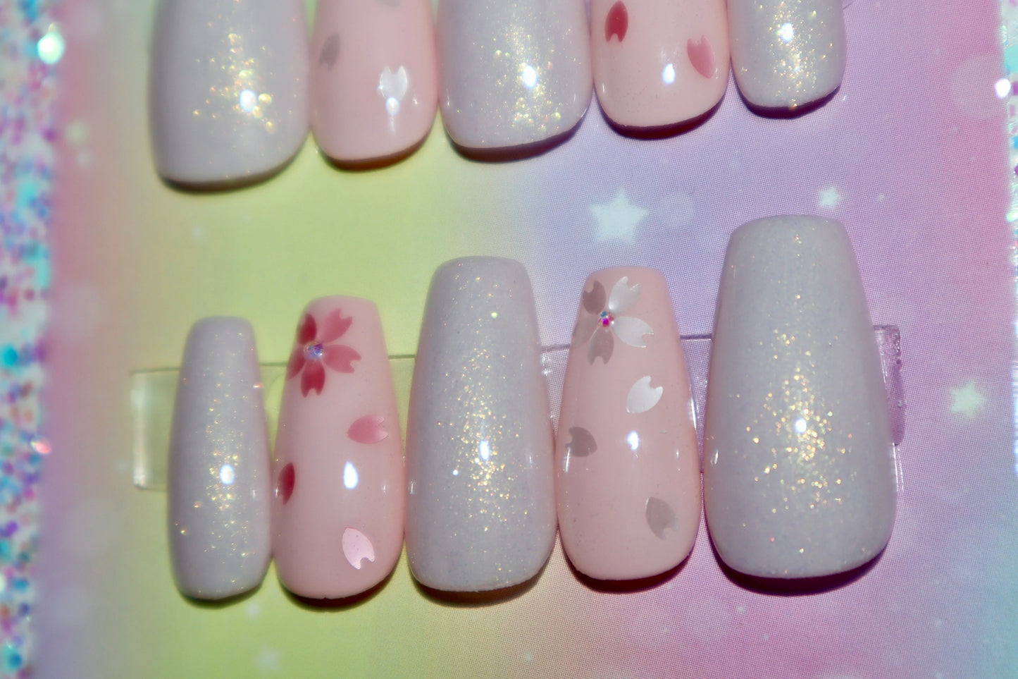 Cherry Blossoms