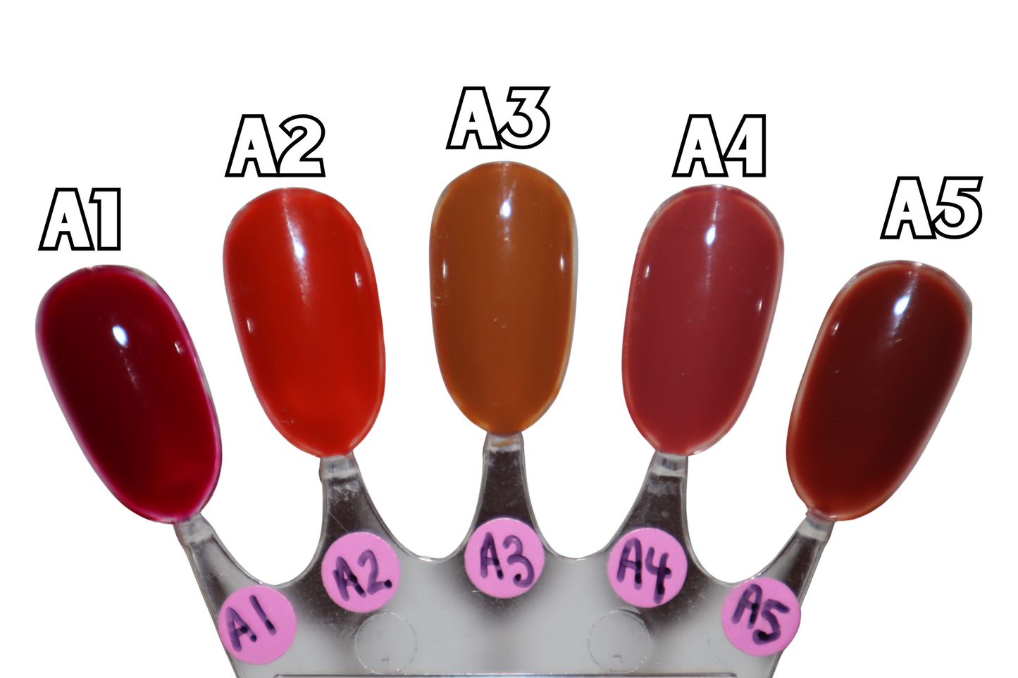 Colors of Autumn (Solid Color Set)