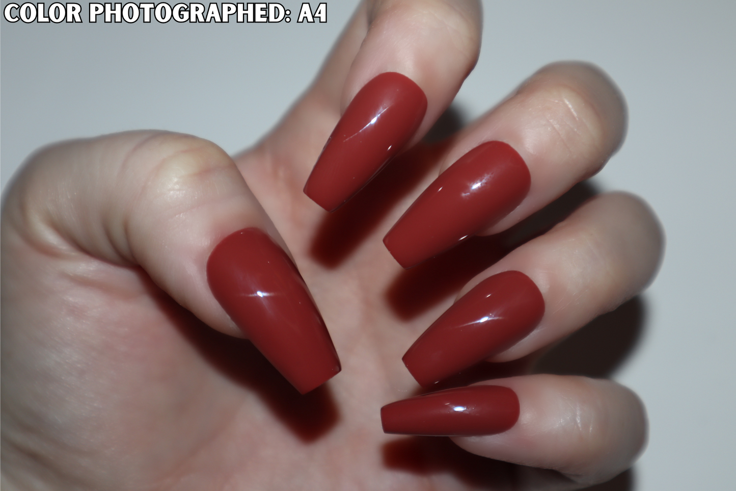 Colors of Autumn (Solid Color Set)