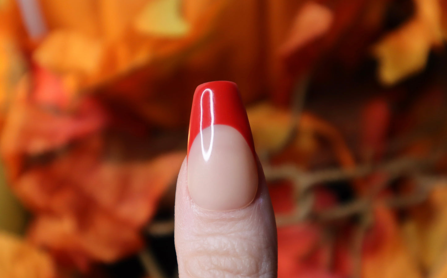 Fall Frenchies